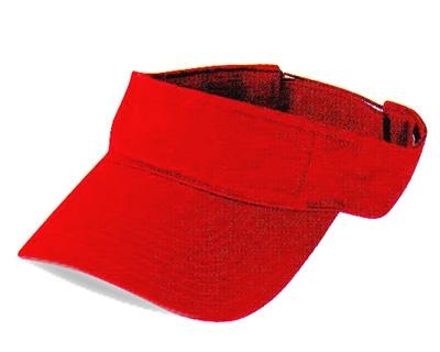 Blank Sun Visors