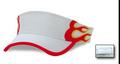 Visors