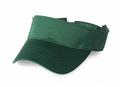 Adjustable Sun Visor