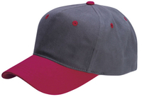 Image Cobra-5 Panel Low Profile Brushed Material Cap