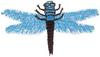 Image Bugs & Insects